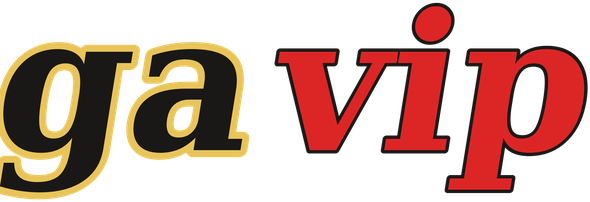 gavip logo